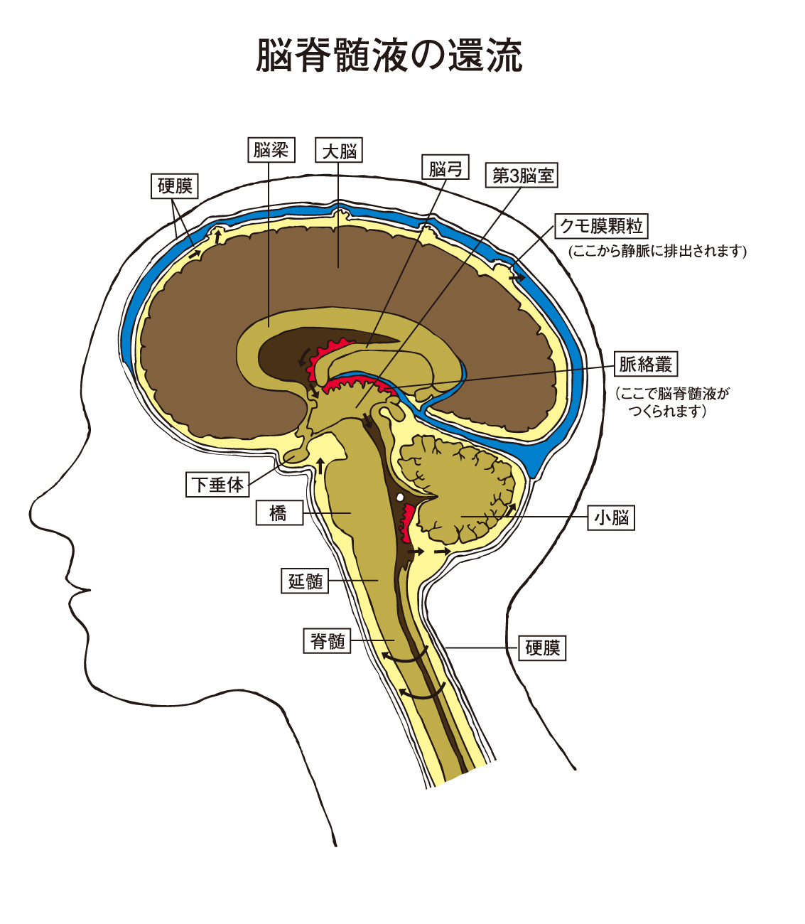 頭蓋仙骨治療